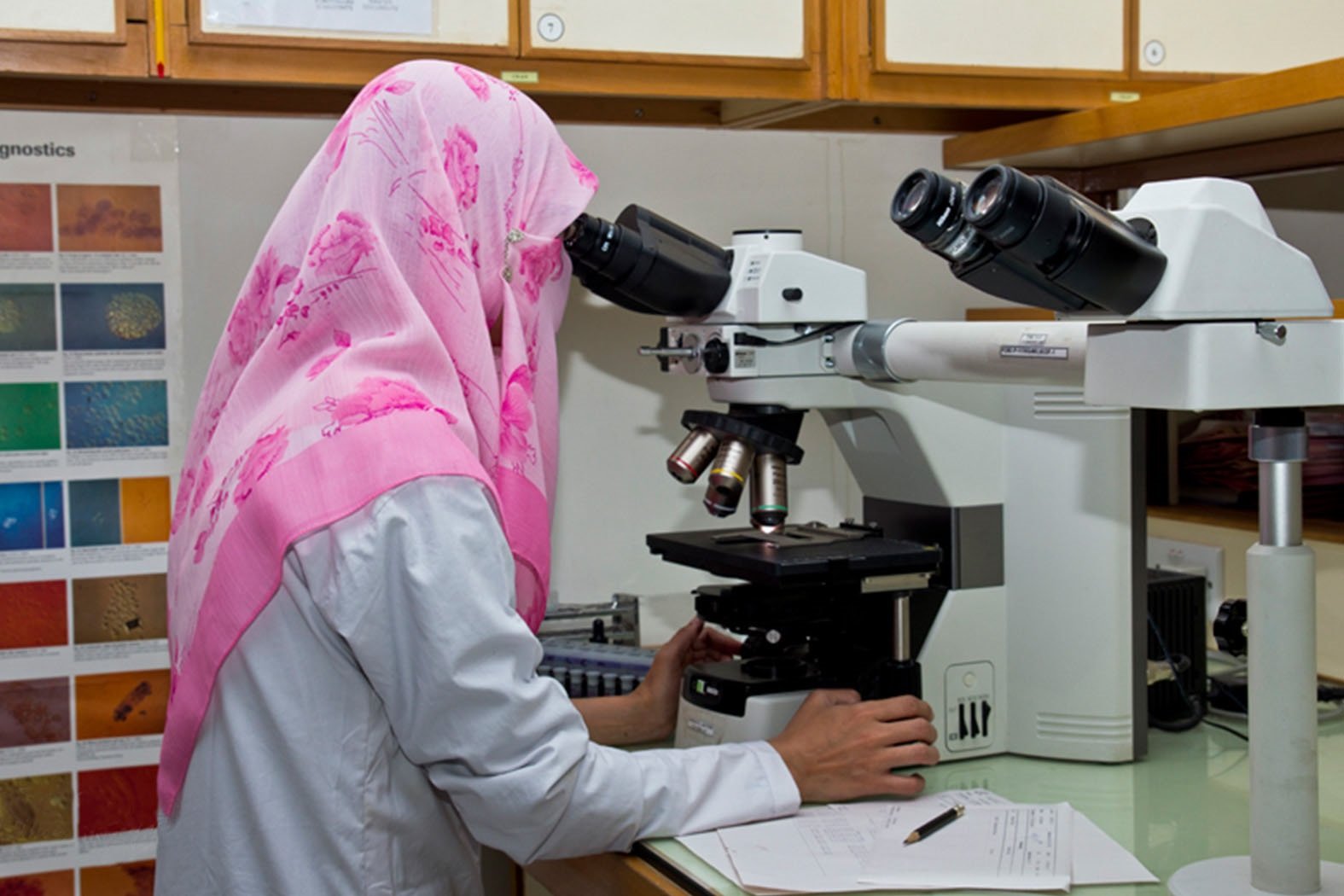 Nuclear-technique-to-reduce-disease-transmitting-mosquito-populations