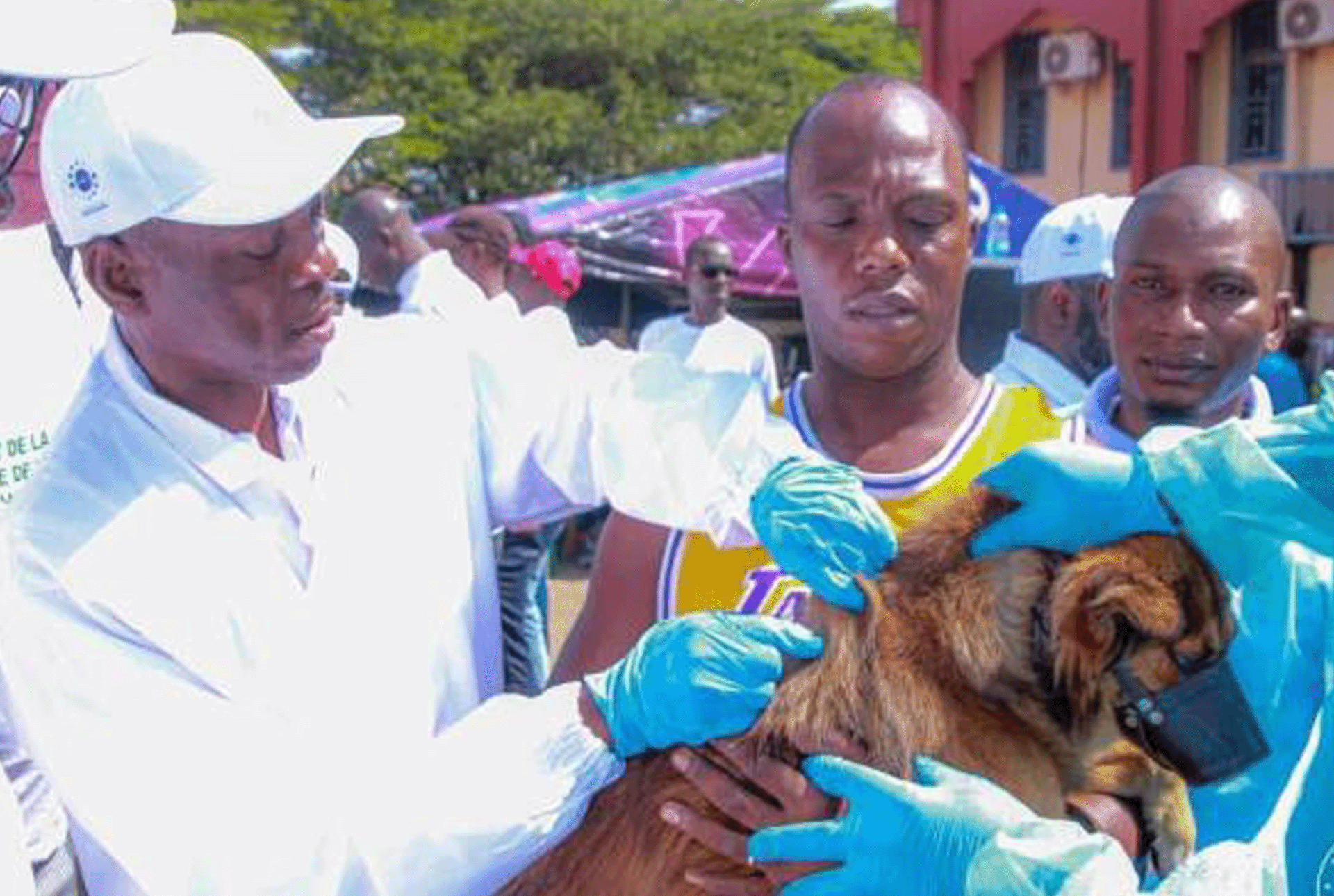 Guinea takes a major step towards ending rabies