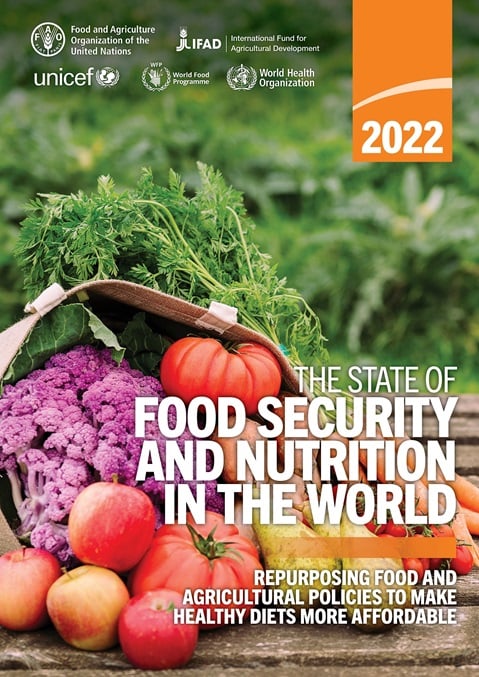 The state of food security and nutrition in the world 2022