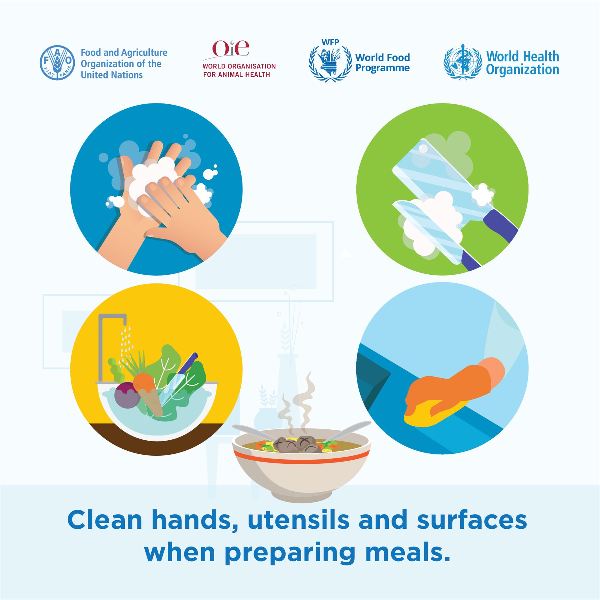 200511_FAO_Social media_Instagram_V19_no2